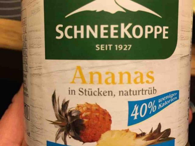 Ananas in Stücken, naturtrüb mit S&, 40% weniger Ka | Hochgeladen von: JezziKa