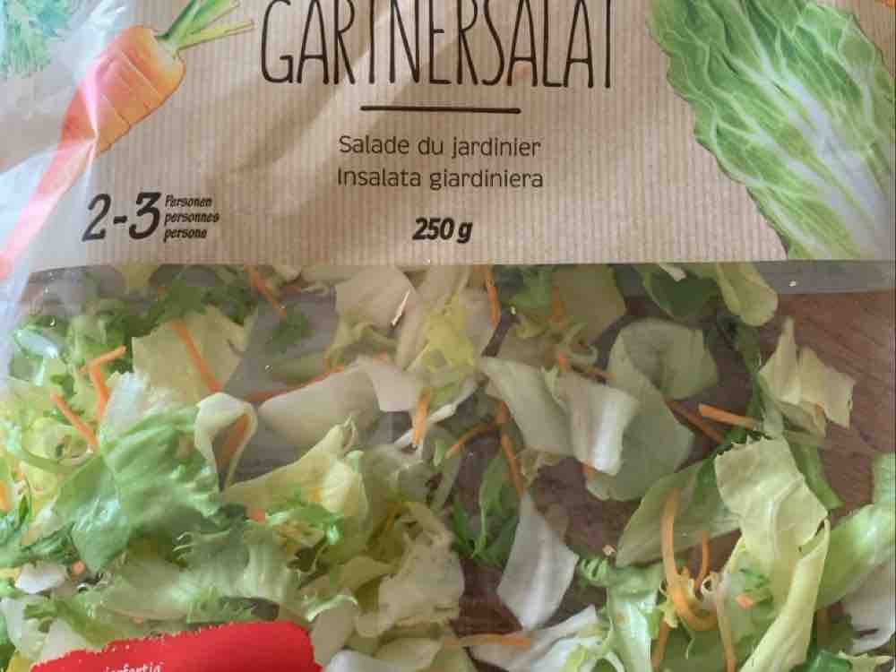 Gärtnersalat von baergler | Hochgeladen von: baergler