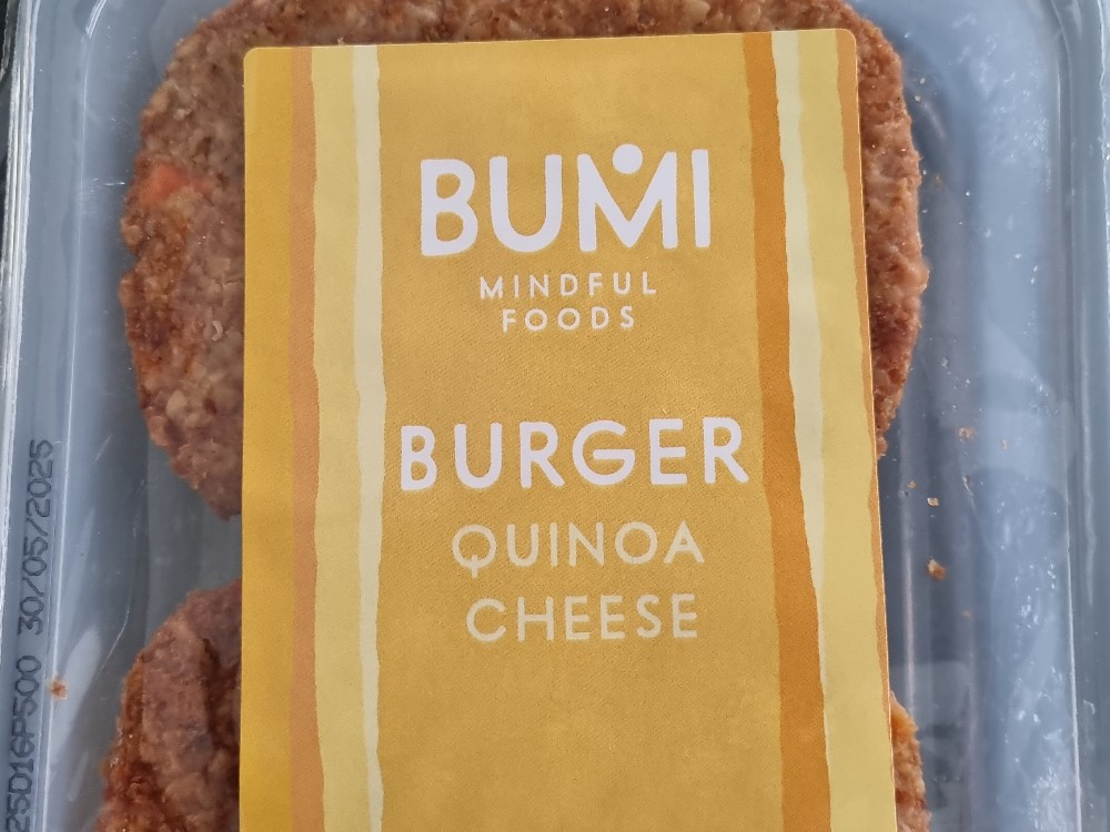Quinoa Käse Burger, Bumi von anouk52 | Hochgeladen von: anouk52 Quinoa Käse Burger, Bumi von anouk52 | Hochgeladen von: anouk52