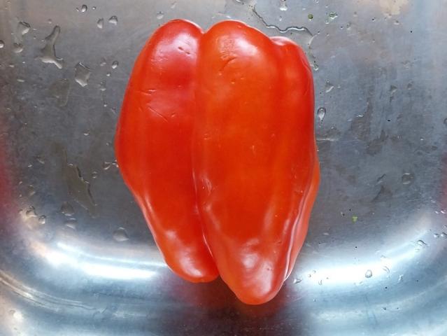 Hochgeladen von: Teoadorarissima