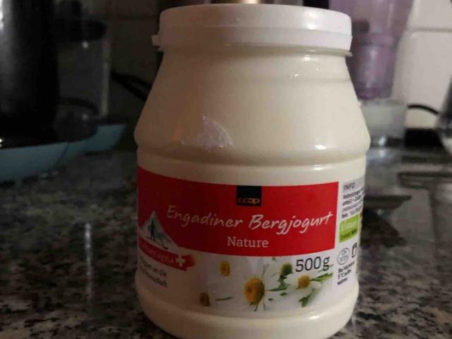 engadiner bergyogurt, Vollmilch von ilce | Hochgeladen von: ilce