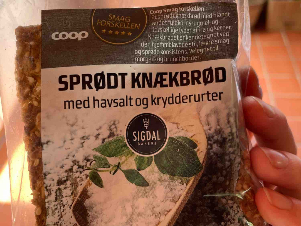 Sprødt Knækbrød, med havsalt og krydderurter von RaPin | Hochgeladen von: RaPin