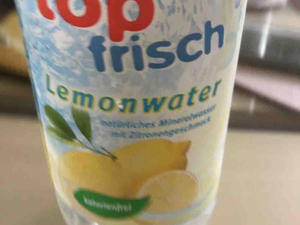 Lemon Water, Mineralwasser mit Zitronengeschmack von Felicitas D | Hochgeladen von: Felicitas Dell