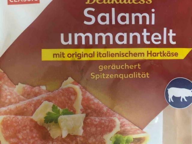 Delikatess Salami (ummantelt mit Hartkäse) von Anmajual | Hochgeladen von: Anmajual