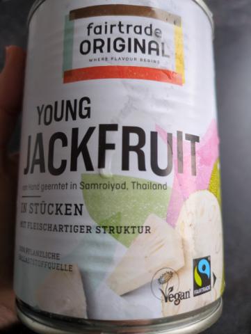 Young Jackfruit, in Stücken von WaltraudK | Hochgeladen von: WaltraudK