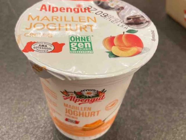 marillen joghurt von Arthurion | Hochgeladen von: Arthurion