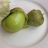 Tomatillo von Eva Schokolade | Hochgeladen von: Eva Schokolade