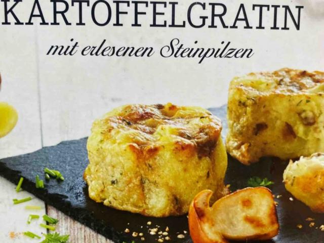 Kartoffelgratin, mit erlesenen Steinpilzen von DrK1958 | Hochgeladen von: DrK1958