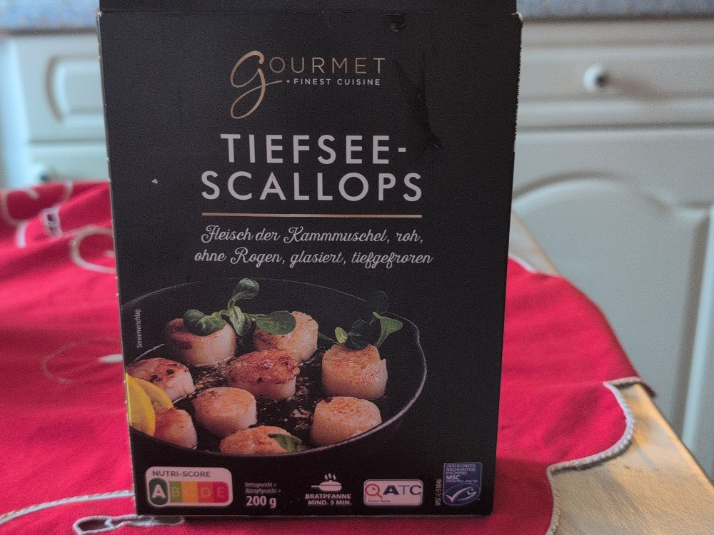 Tiefsee Scallops von Tanja Aurelia | Hochgeladen von: Tanja Aurelia