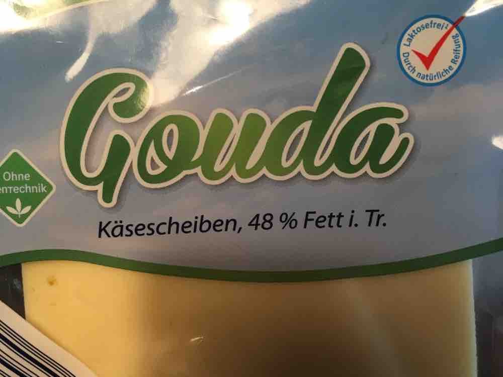 Gouda, 48%  Fett von NeleBrd | Hochgeladen von: NeleBrd
