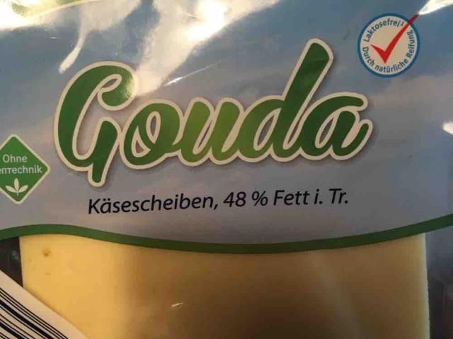 Gouda, 48%  Fett von NeleBrd | Hochgeladen von: NeleBrd