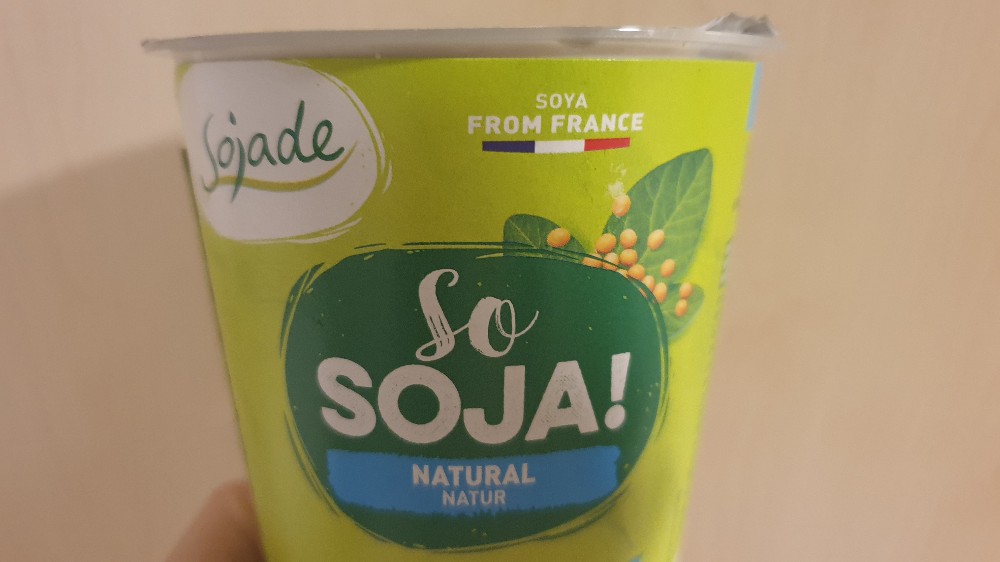 so soja sojajoghurt natural von bodymindsoul | Hochgeladen von: bodymindsoul