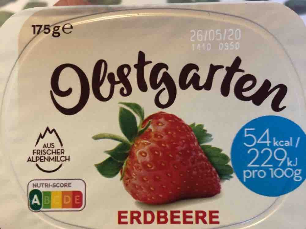Erdbeer Obstgarten, light von Iphigenia2000 | Hochgeladen von: Iphigenia2000