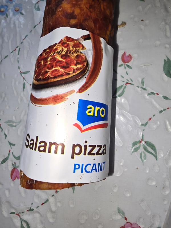 Salami Pizza von Bewegung66 | Hochgeladen von: Bewegung66