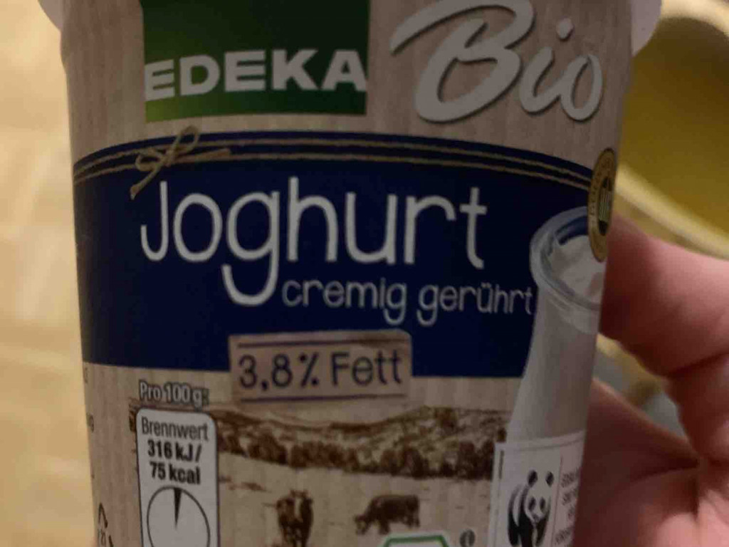 Joghurt mild, 3,8% Fett, Bio von GloriaBlass | Hochgeladen von: GloriaBlass