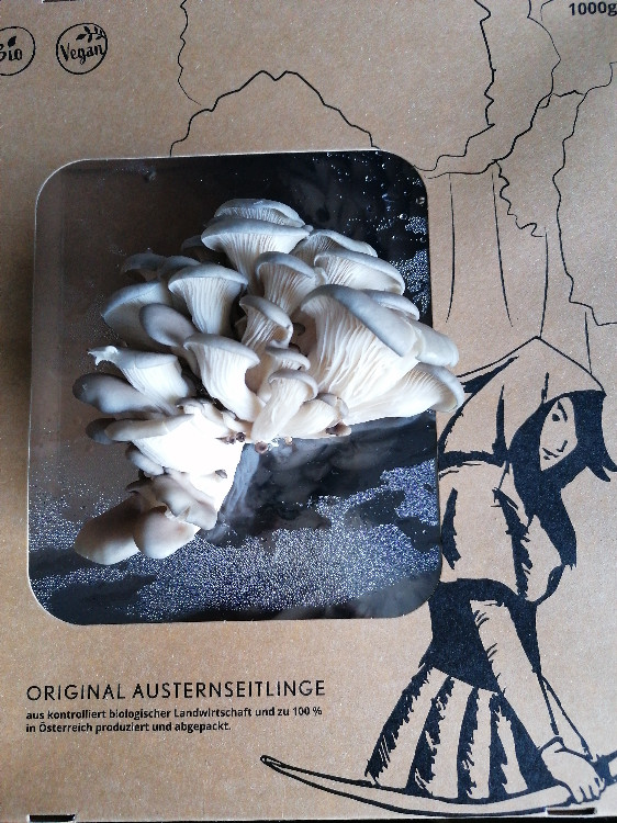 Austernseitlinge, Waldkönigin Bio von Barbarella29 | Hochgeladen von: Barbarella29