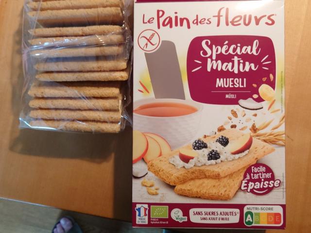 Hochgeladen von: jinnymiau Hochgeladen von: jinnymiau