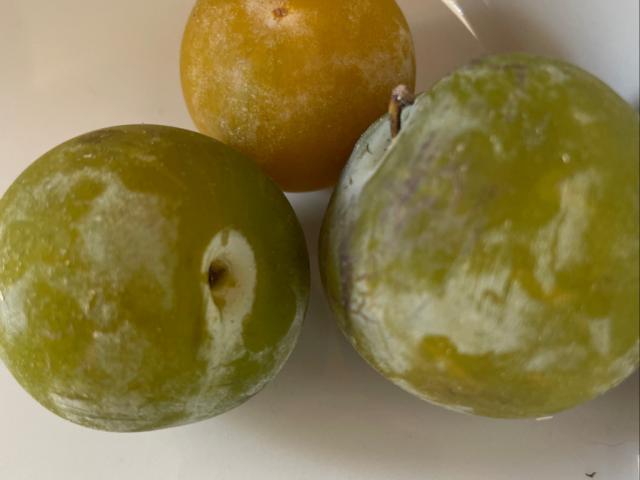 Hochgeladen von: AnMaRei Hochgeladen von: AnMaRei