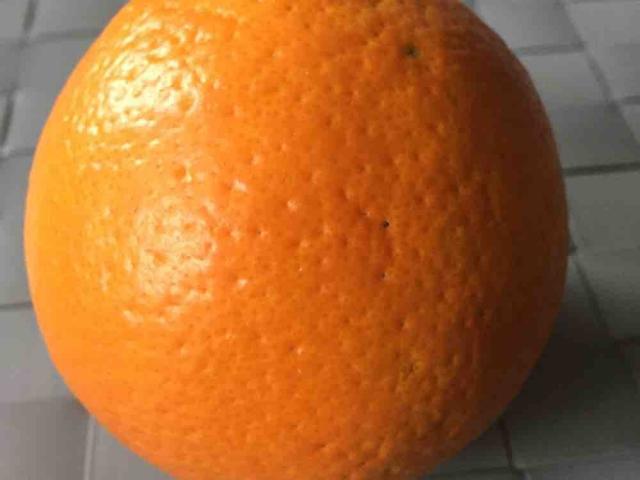 Orange, frisch von kerstin66 | Hochgeladen von: kerstin66