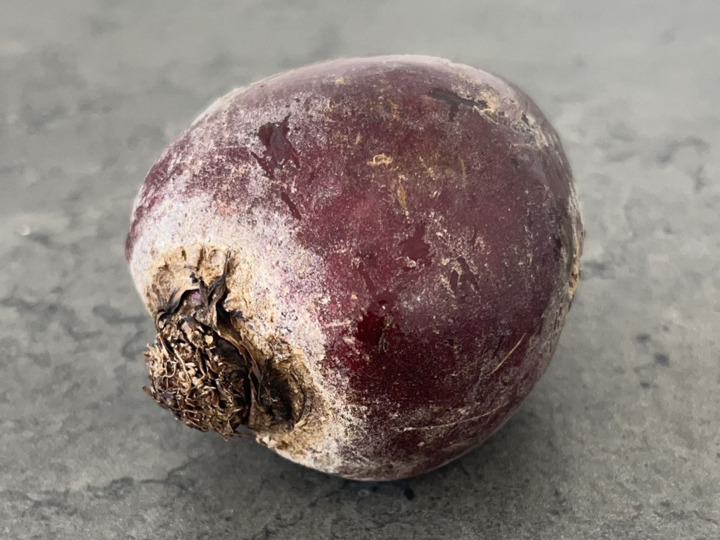 Rote Beete roh von zokimona | Hochgeladen von: zokimona Rote Beete roh von zokimona | Hochgeladen von: zokimona