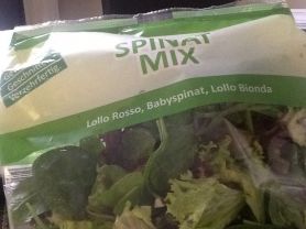 Spinat Mix | Hochgeladen von: wollro