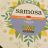 Samosa von gabbyrecess | Hochgeladen von: gabbyrecess