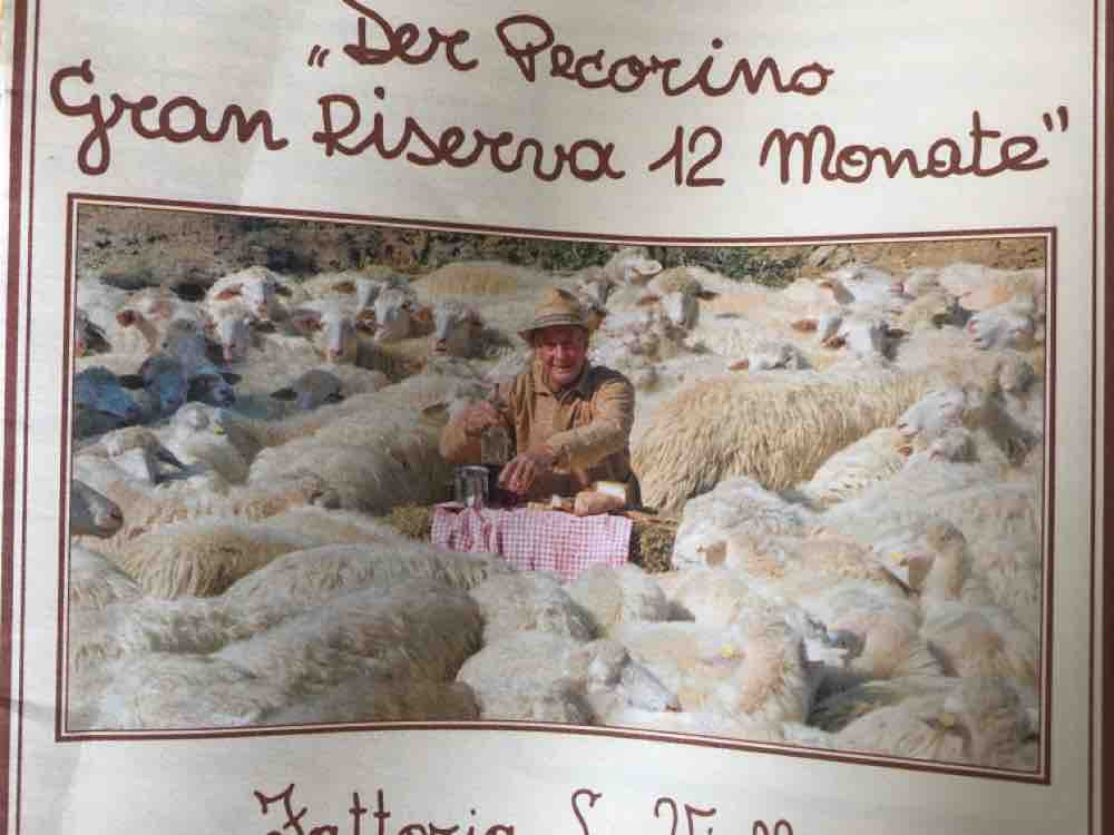 Schafkäse Pecorino , Gran Riserva 12 Monate von hannah12 | Hochgeladen von: hannah12