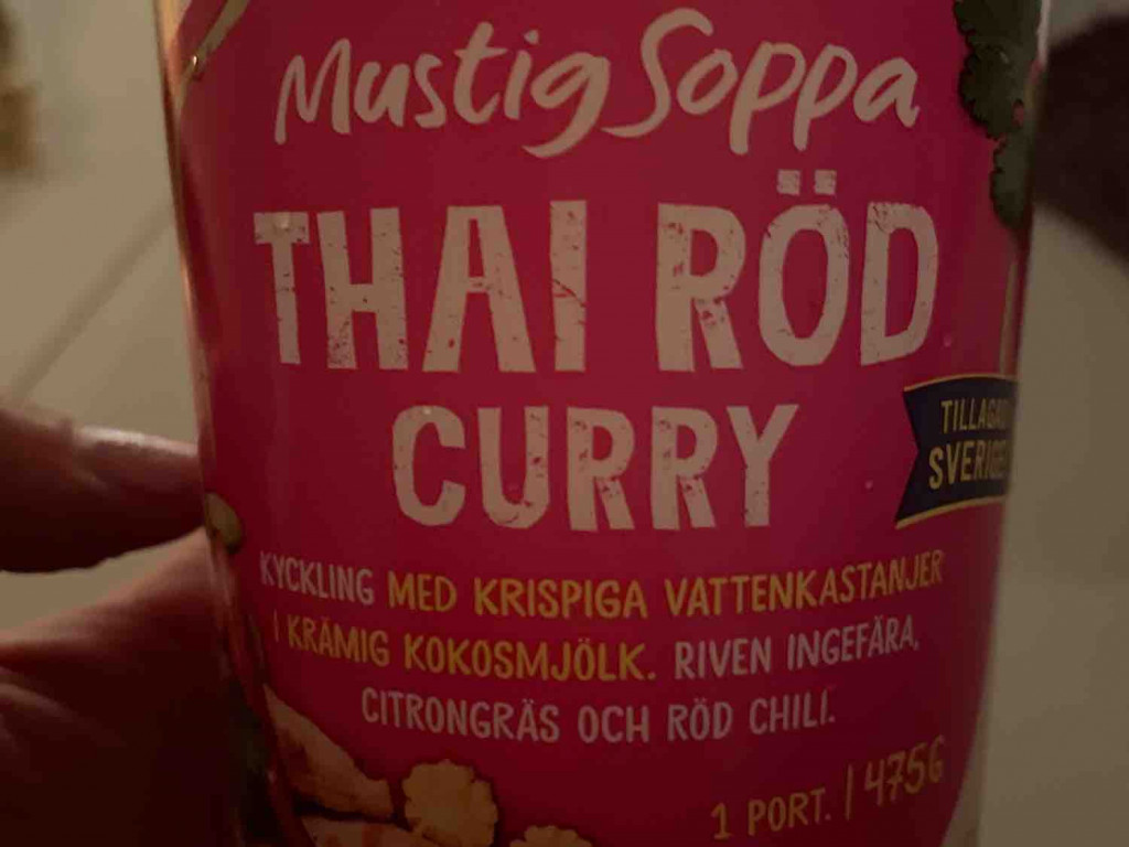 Thai Röd Curry von Frauke87 | Hochgeladen von: Frauke87