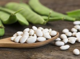 Hochgeladen von: j.zels