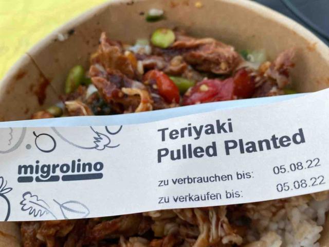 Terriyaki Pulled plant von Joytheboy | Hochgeladen von: Joytheboy