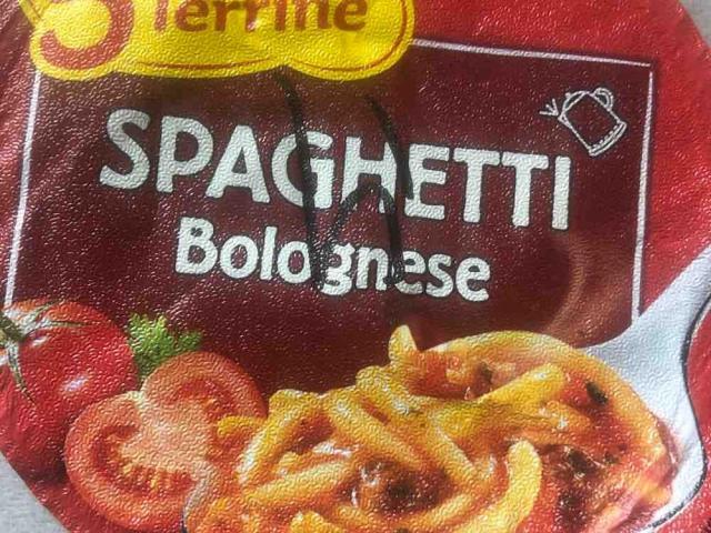 5 Minuten Terrine , Spaghetti Bolognese von mihzi | Hochgeladen von: mihzi
