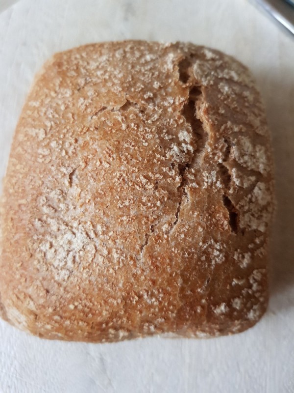 Dinkel-Roggen- Brötchen , Sauerteig, Honig, Sonnenblumenkerne, L | Hochgeladen von: Klarissa65