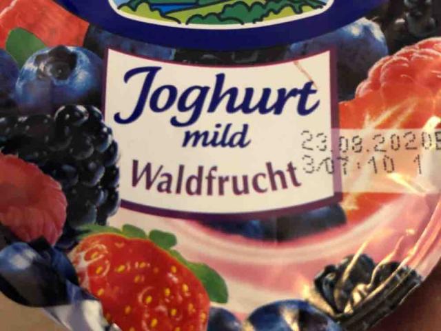 Joghurt mild, Waldfrucht by Morphyum | Uploaded by: Morphyum