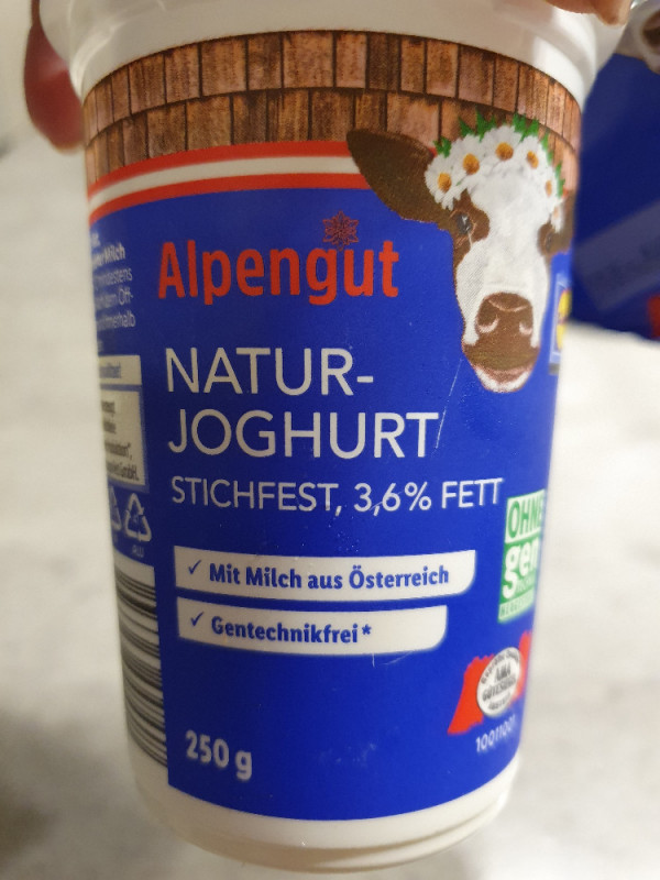 Naturjoghurt, 3,6 % stichfest von Cristina CK | Hochgeladen von: Cristina CK