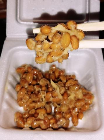 Natto von Lilupard | Uploaded by: Lilupard