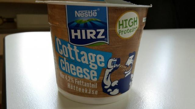 Cottage Cheese High Protein | Hochgeladen von: simazu