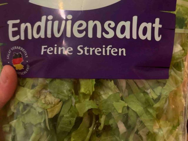 Endiviensalat von cestmoijola | Hochgeladen von: cestmoijola