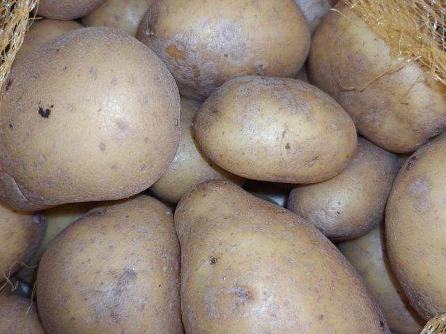 Kartoffeln roh, mit Schale, vorwiegend festkochend by haemophili | Uploaded by: haemophiliac Kartoffeln roh, mit Schale, vorwiegend festkochend by haemophili | Uploaded by: haemophiliac