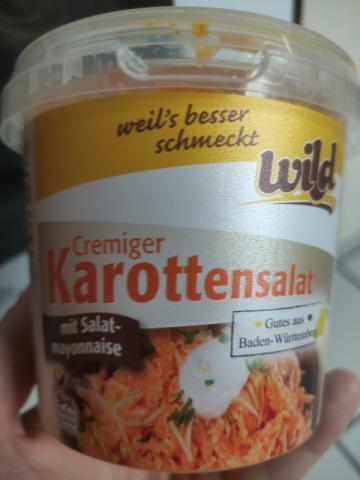 Cremiger Karottensalat by andyi | Uploaded by: andyi