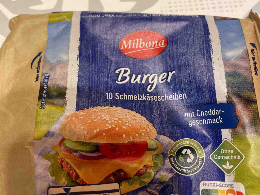 Burger, Schmelzkäsescheiben von EdeGZ | Hochgeladen von: EdeGZ