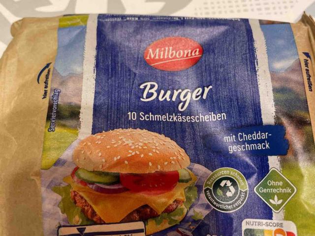 Burger, Schmelzkäsescheiben von EdeGZ | Hochgeladen von: EdeGZ