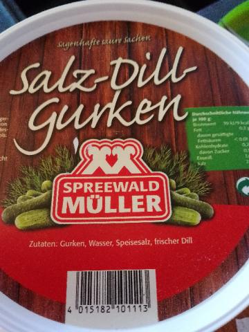 Salz-Dill-Gurken von Ottchen | Hochgeladen von: Ottchen