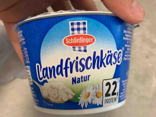 Landfrischkäse  Natur, 22g Protein by albertasamira | Hochgeladen von: albertasamira