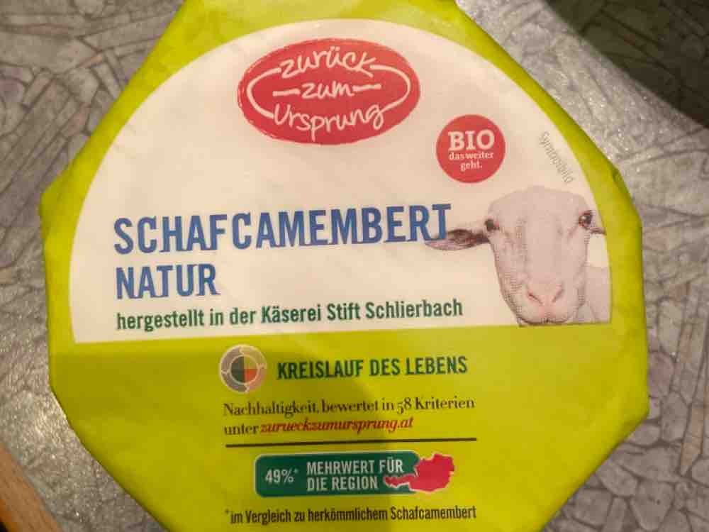 Schafcamembert Natur von lilpiz | Hochgeladen von: lilpiz