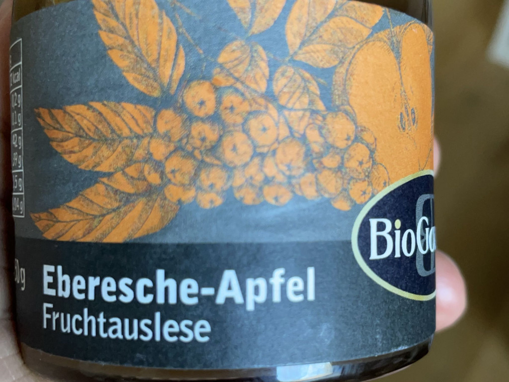 Eberesche-Apfel Fruchtsuslese von SNig | Hochgeladen von: SNig