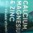 WeightWorld Calcium, Magnesium & Zinc von Erne2.0 | Hochgeladen von: Erne2.0