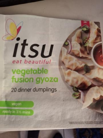 vegetable fusion gyoza von MickyMaus | Hochgeladen von: MickyMaus