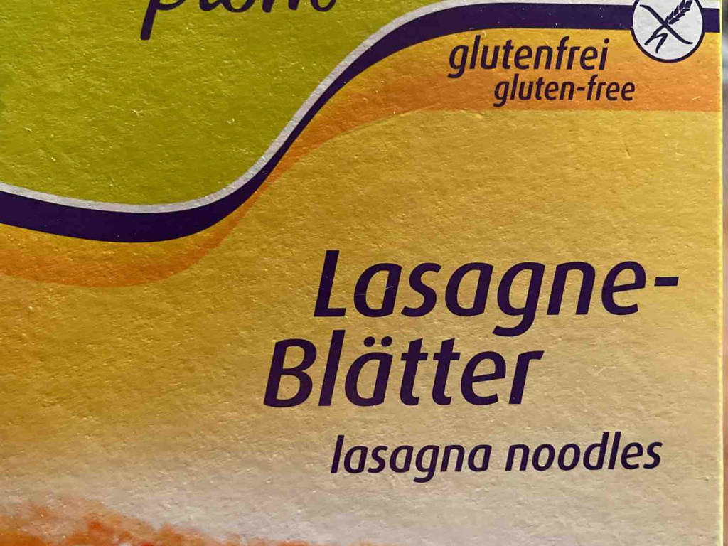 Lasagne Blätter Free from , glutenfreie  von Bettina Ha | Hochgeladen von: Bettina Ha