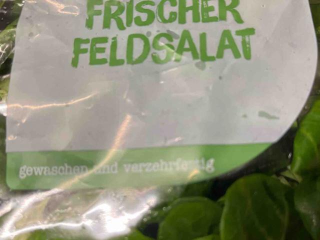 Frischer Feldsalat von LoTuer | Hochgeladen von: LoTuer