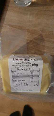 Scheunenkäse, Jung von HorusBRB | Hochgeladen von: HorusBRB